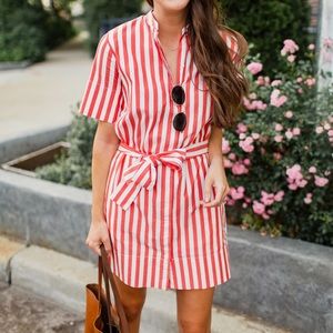 Everlane Striped Collarless Shirt Dress